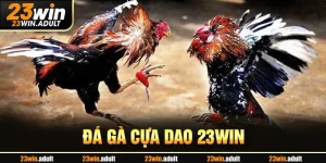 Đá Gà Cựa Dao fu88 - Khám Phá Nghệ Thuật Chiến Đấu Đỉnh Cao