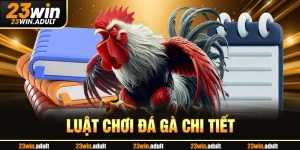 Luật Chơi Đá Gà fu88 Chi Tiết Dành Cho Tân Binh Từ A-Z