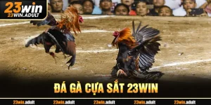 Đá Gà Cựa Sắt fu88 - Trải Nghiệm Thắng Lớn Mỗi Ngày